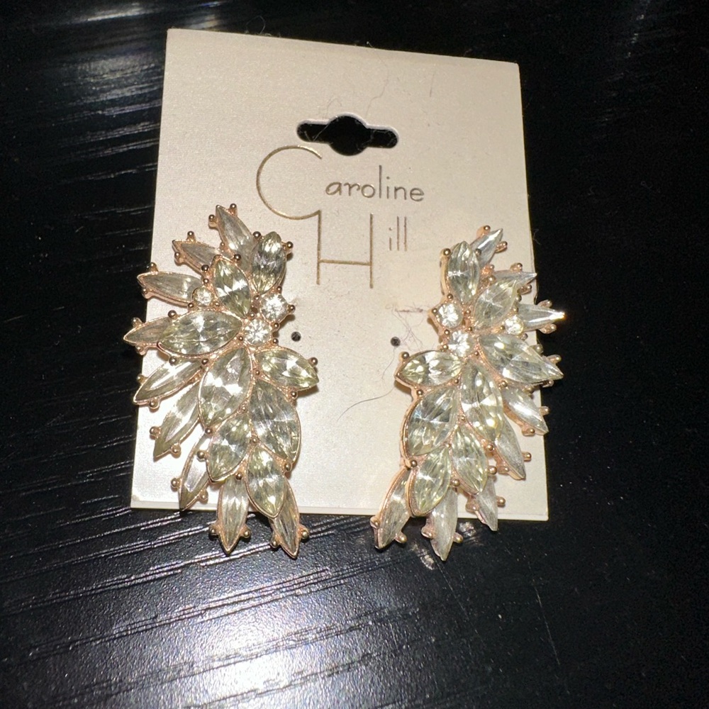 Wing Earrings